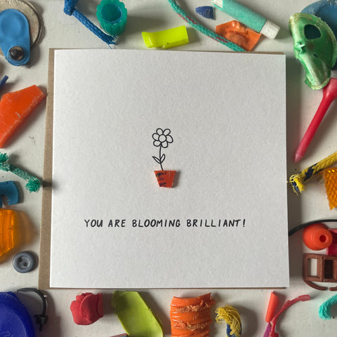 You are blooming brilliant!