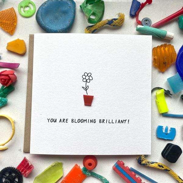 You are blooming brilliant!